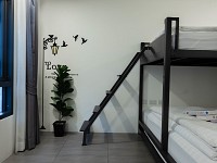 Superior Bunk Bed Room